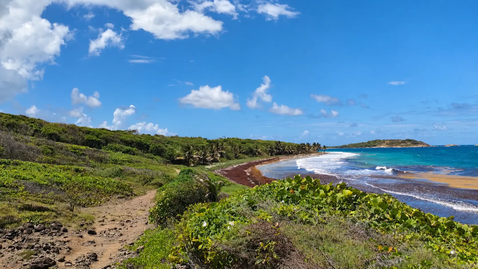 Le littoral de Sainte-Anne en Martinique
