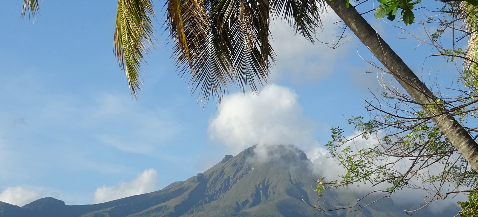 La montagne Pelée vue depuis Saint-Pierre, au nord de la Martinique