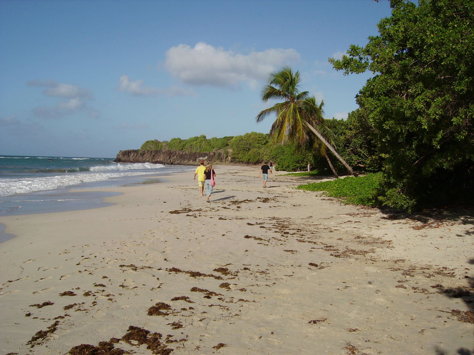 Plage des Salines en Martinique